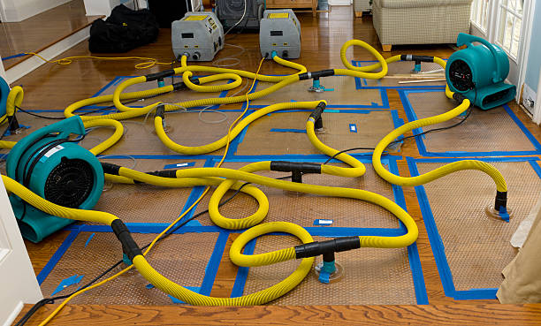Professional Water Extraction technician working in Harmony, MN